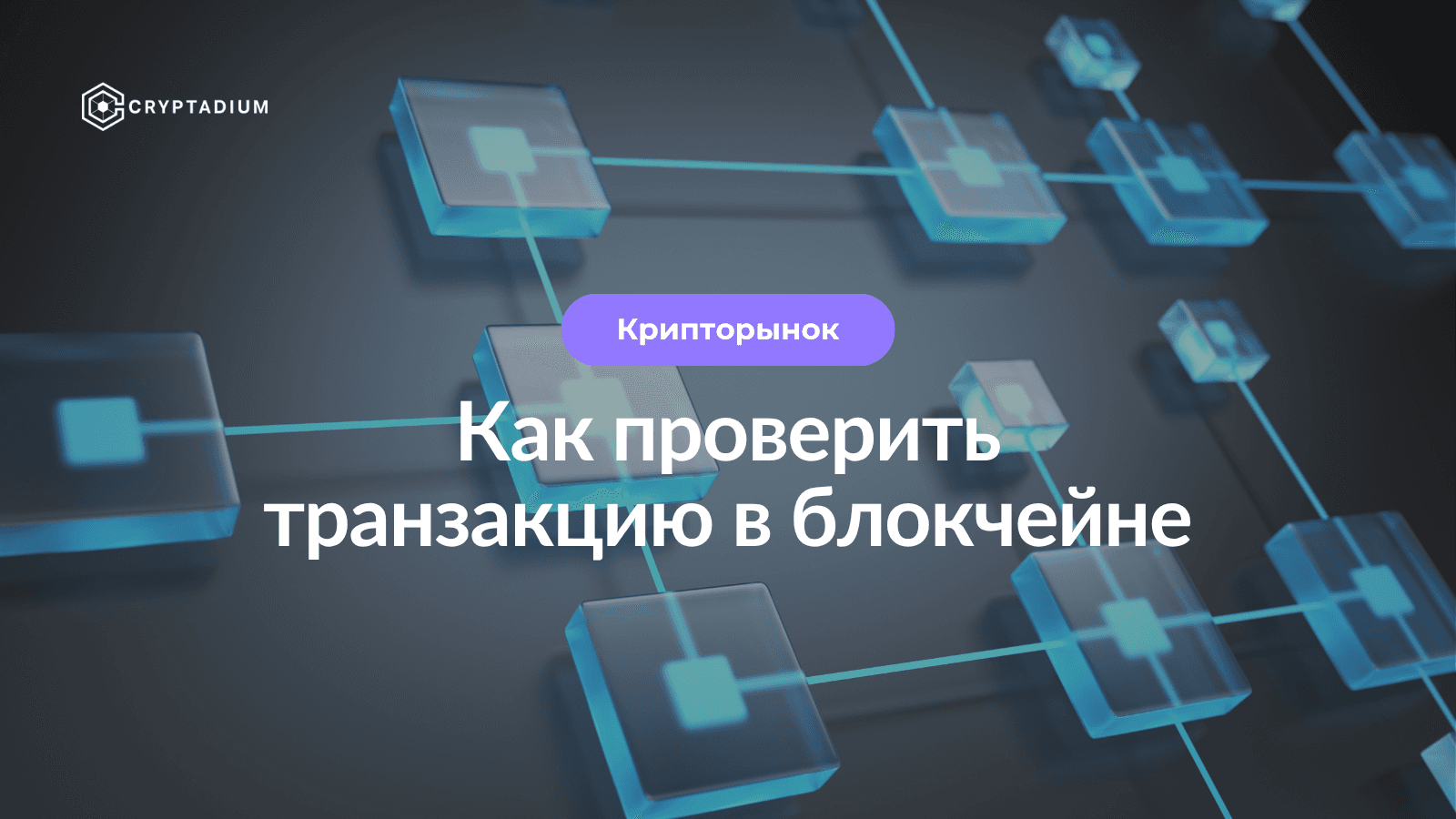 Как отследить и проверить транзакцию в блокчейне