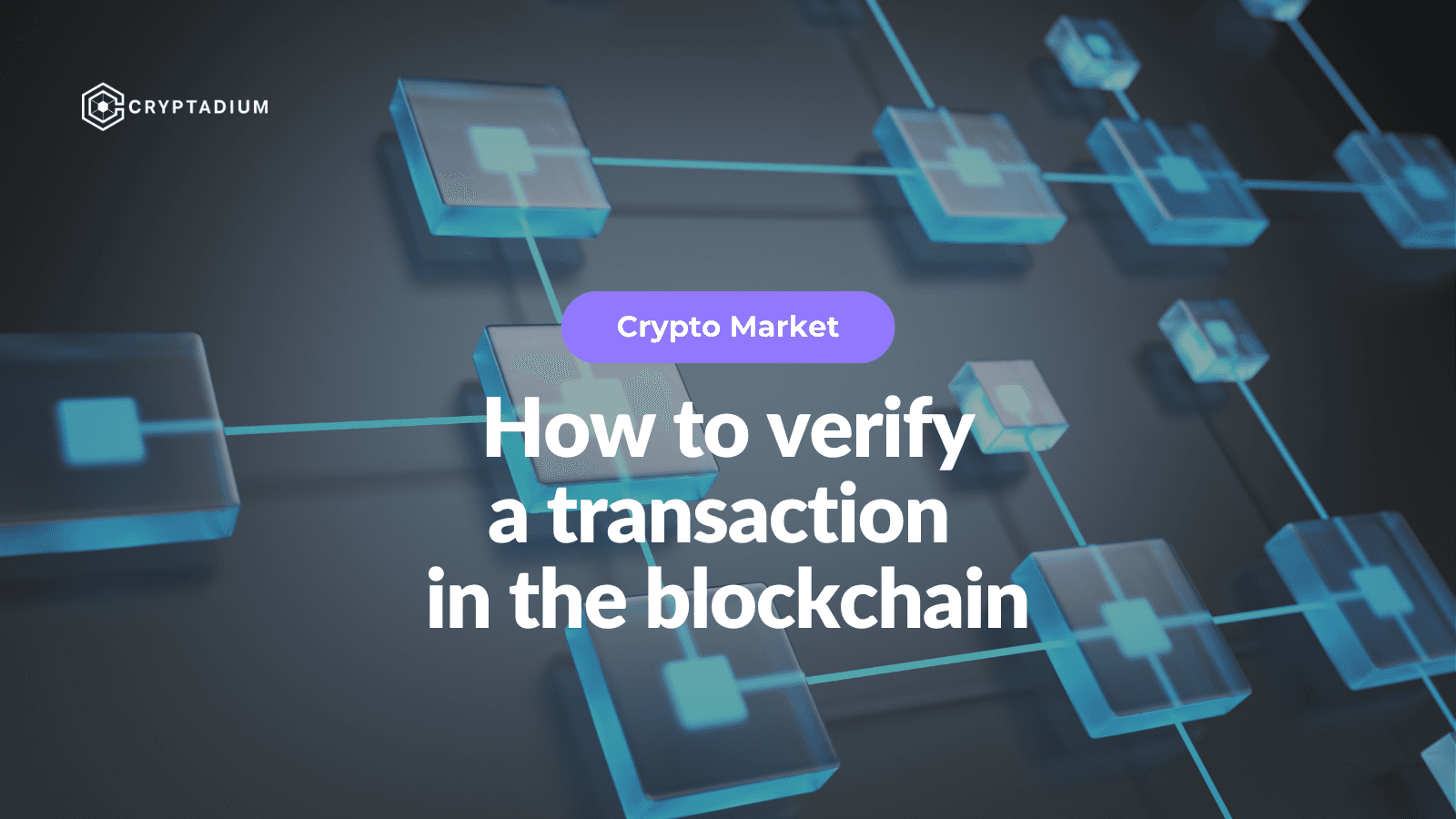 How to Track and Verify a Transaction on The Blockchain